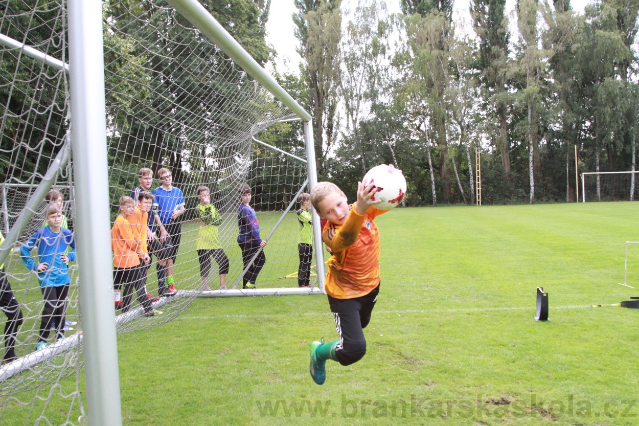 BFŠJCH - Léto 2019 - 7.8.2019