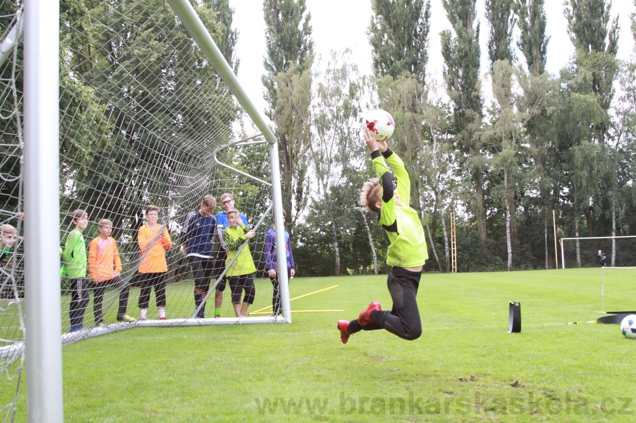 BFŠJCH - Léto 2019 - 7.8.2019