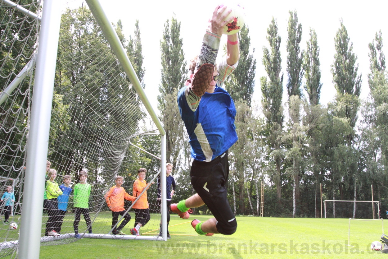 BFŠJCH - Léto 2019 - 7.8.2019