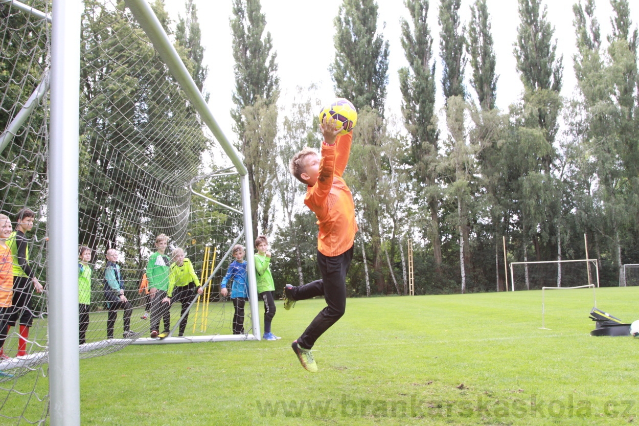 BFŠJCH - Léto 2019 - 7.8.2019