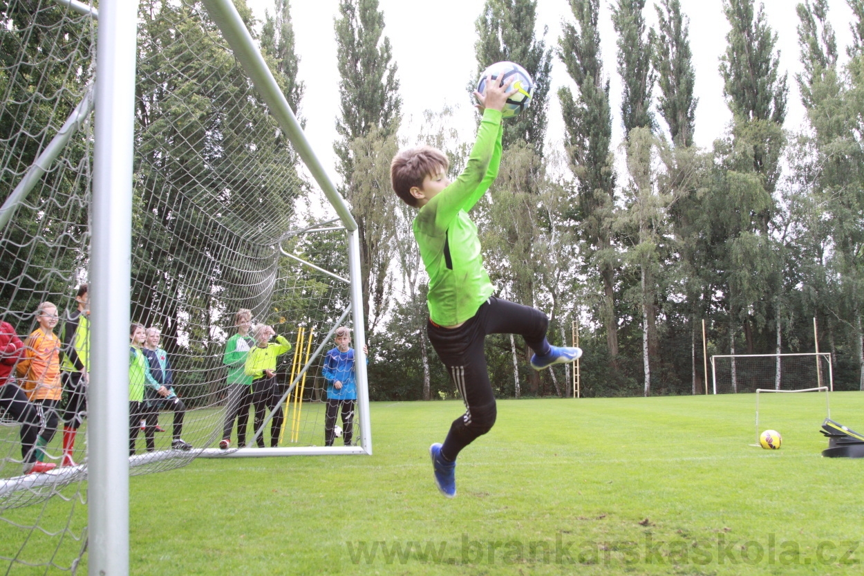 BFŠJCH - Léto 2019 - 7.8.2019