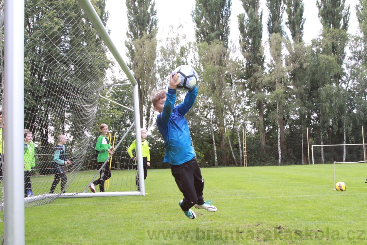 BFŠJCH - Léto 2019 - 7.8.2019