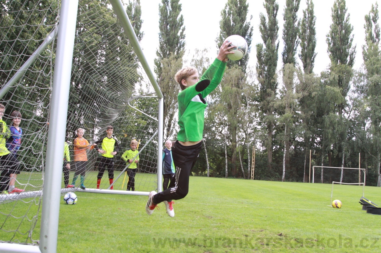 BFŠJCH - Léto 2019 - 7.8.2019