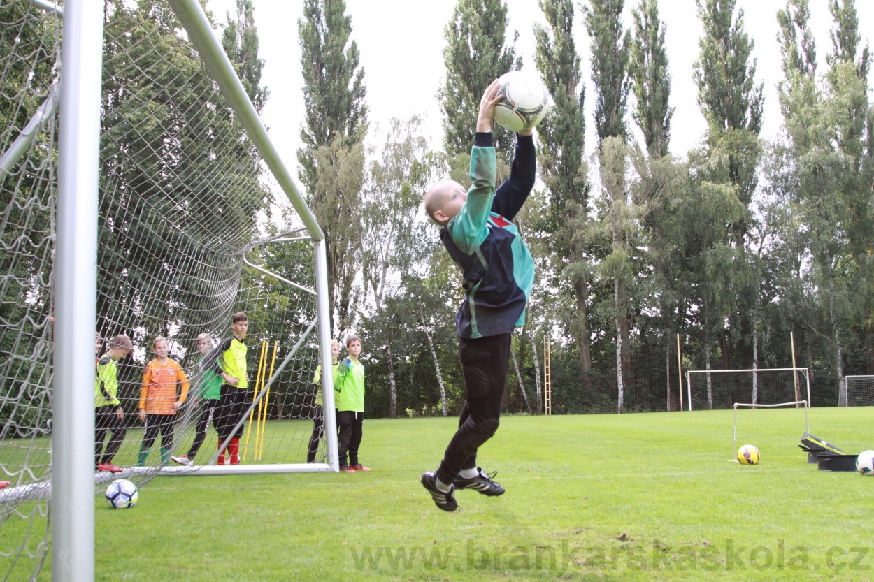 BFŠJCH - Léto 2019 - 7.8.2019