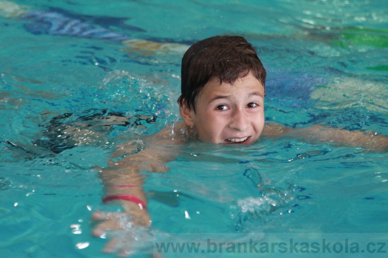 BFŠJCH - Léto 2019 - 7.8.2019