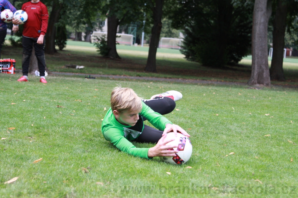 BFŠJCH - Léto 2019 - 7.8.2019