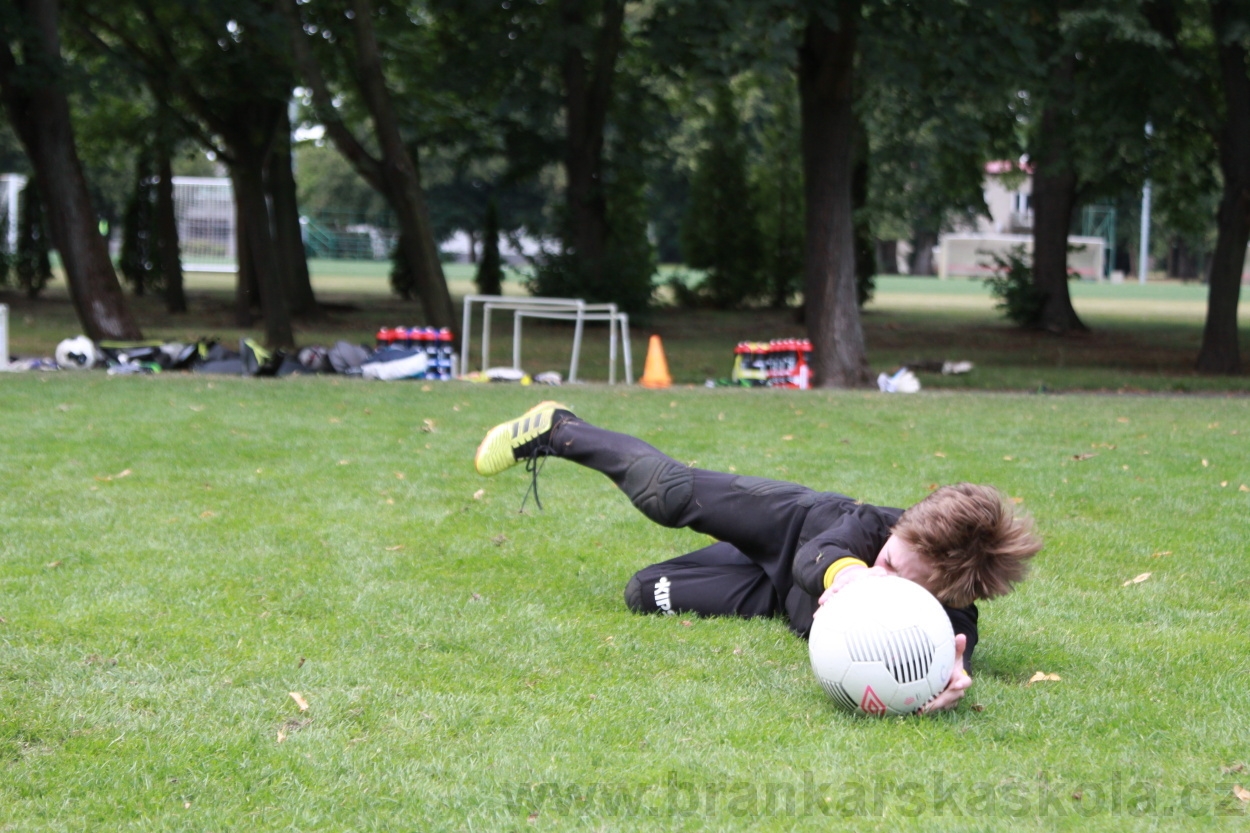 BFŠJCH - Léto 2019 - 7.8.2019