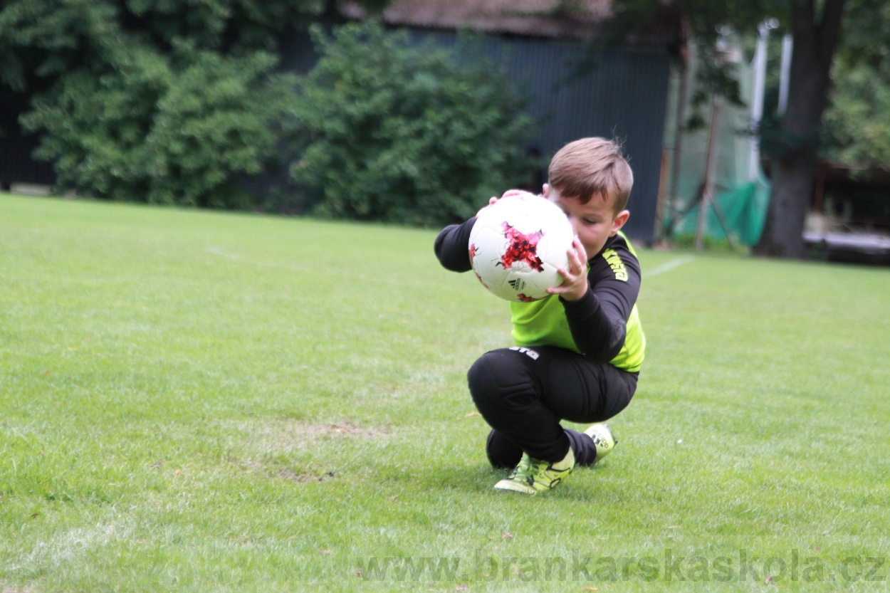 BFŠJCH - Léto 2019 - 7.8.2019