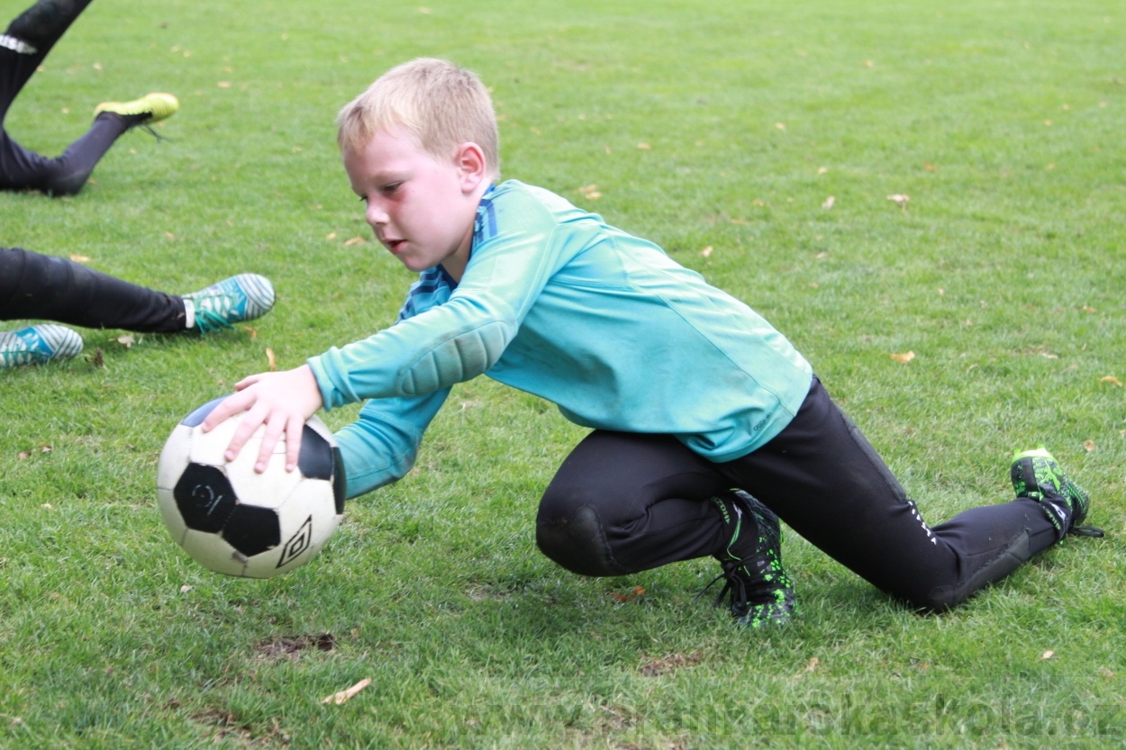 BFŠJCH - Léto 2019 - 7.8.2019
