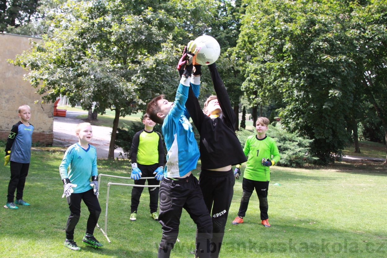 BFŠJCH - Léto 2019 - 7.8.2019