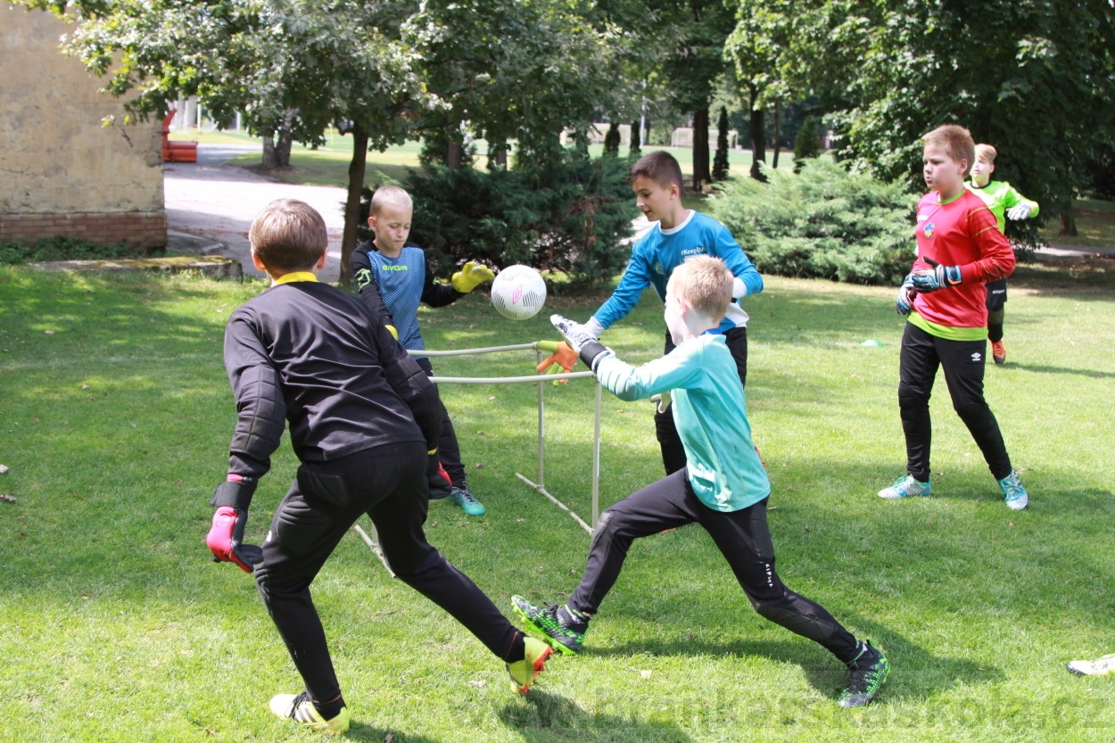 BFŠJCH - Léto 2019 - 7.8.2019