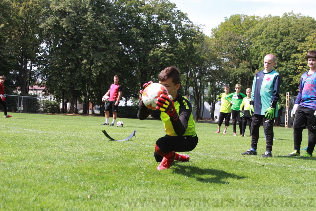 BFŠJCH - Léto 2019 - 7.8.2019