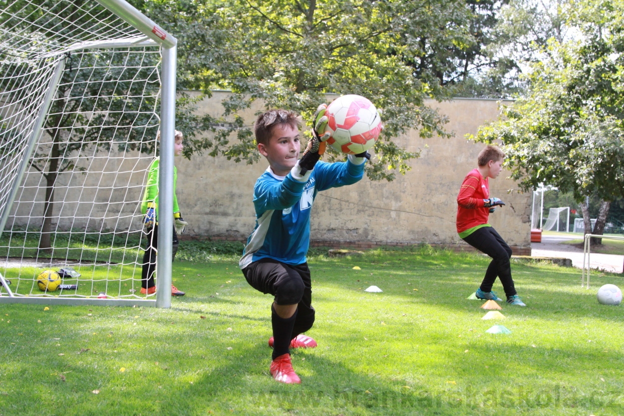 BFŠJCH - Léto 2019 - 7.8.2019