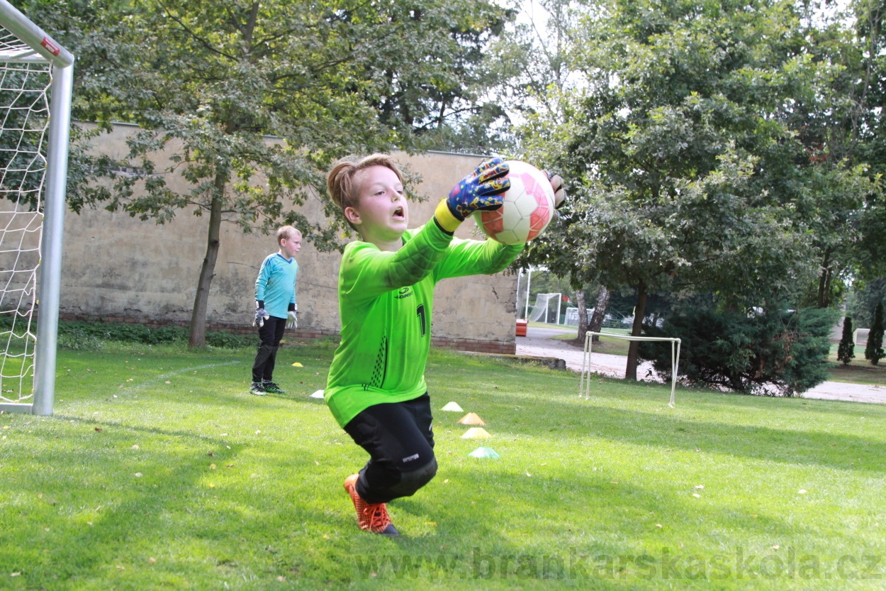 BFŠJCH - Léto 2019 - 7.8.2019