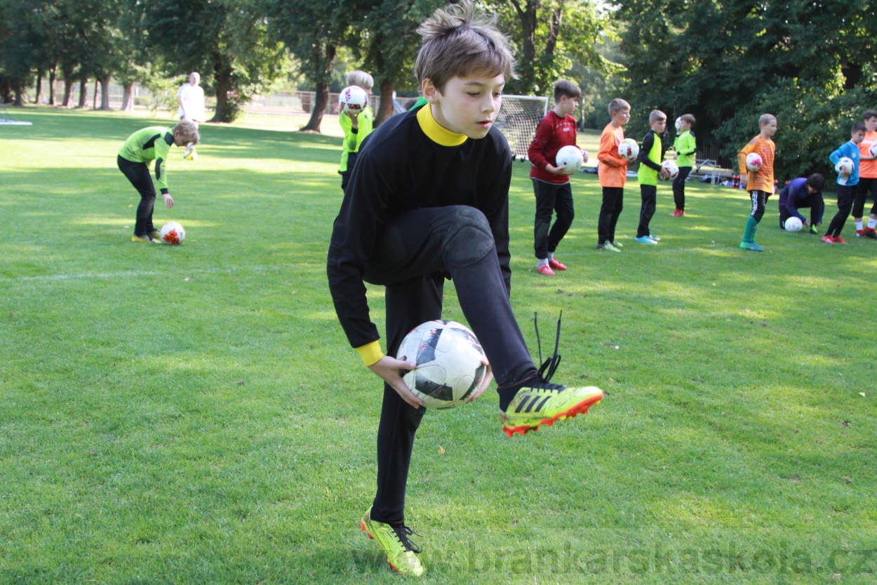 BFŠJCH - Léto 2019 - 8.8.2019