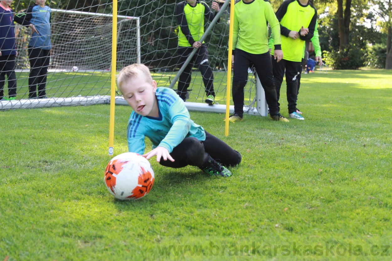 BFŠJCH - Léto 2019 - 8.8.2019