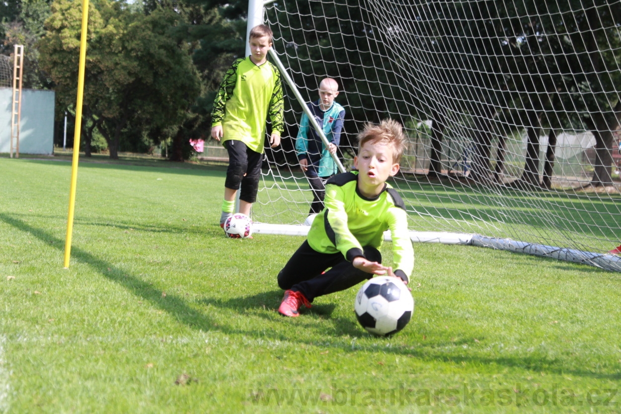 BFŠJCH - Léto 2019 - 8.8.2019