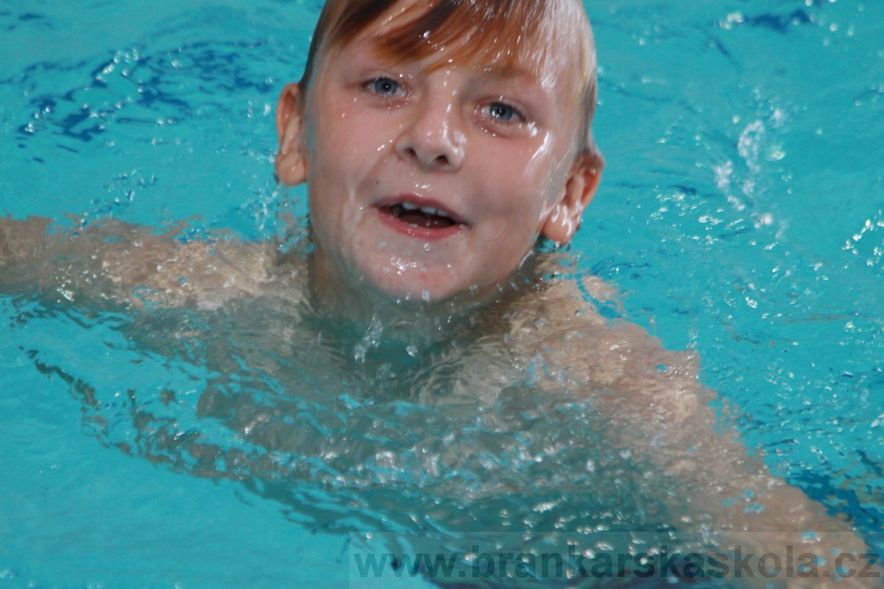 BFŠJCH - Léto 2019 - 8.8.2019