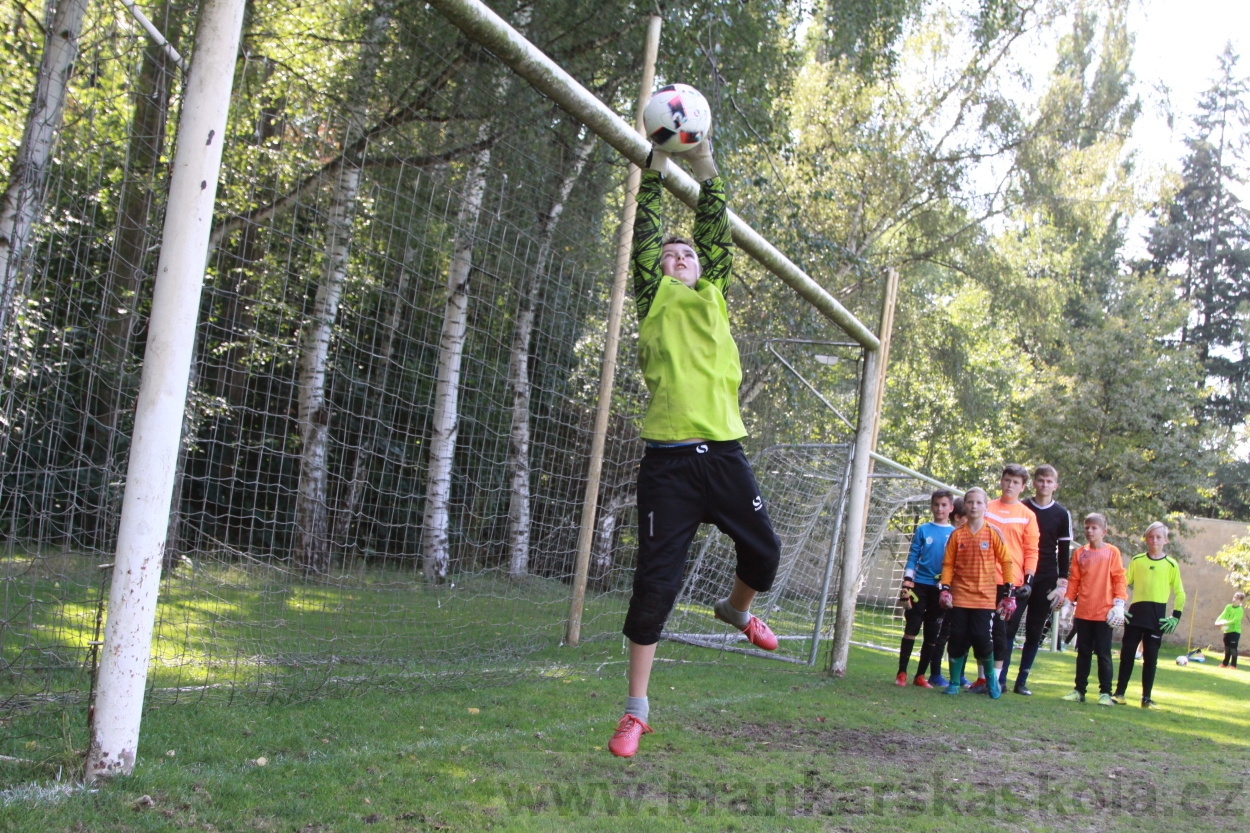 BFŠJCH - Léto 2019 - 8.8.2019