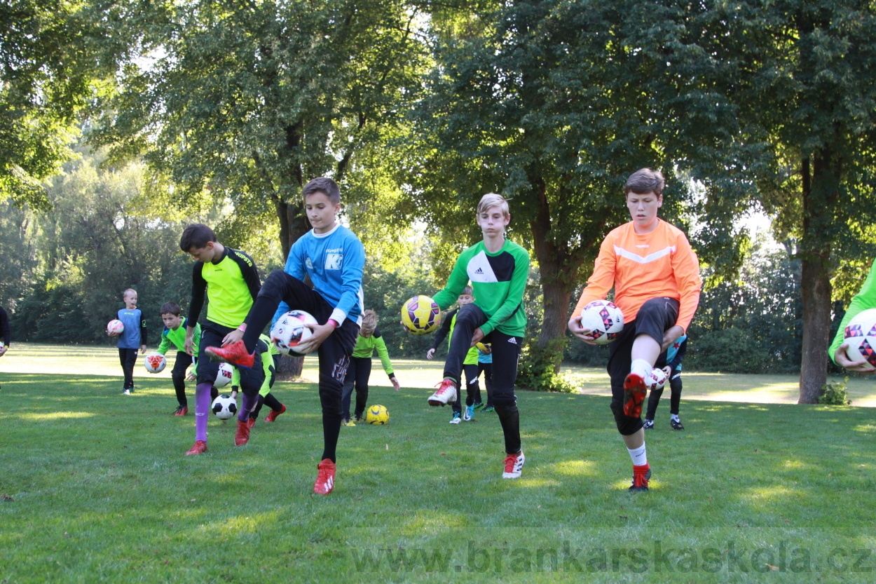 BFŠJCH - Léto 2019 - 9.8.2019