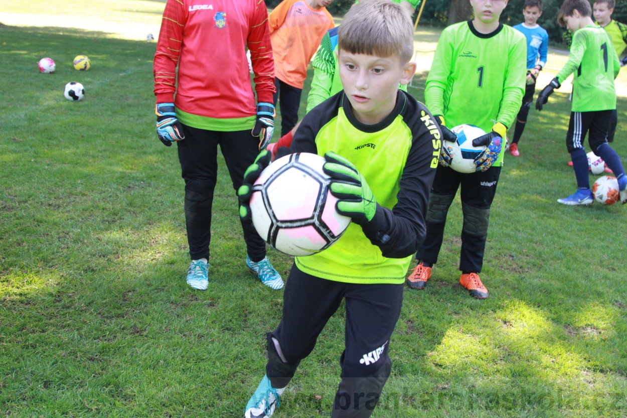 BFŠJCH - Léto 2019 - 9.8.2019