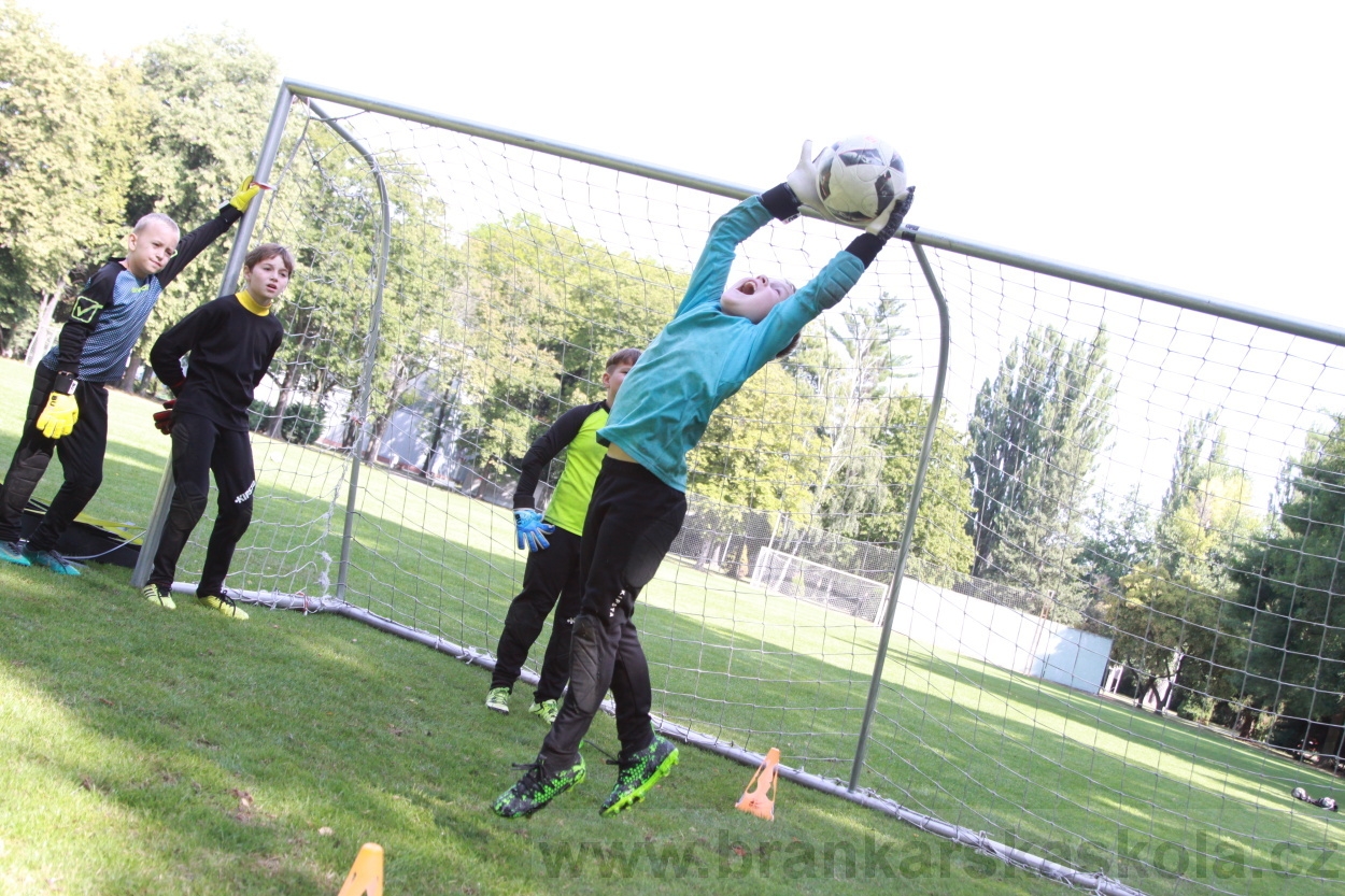 BFŠJCH - Léto 2019 - 9.8.2019