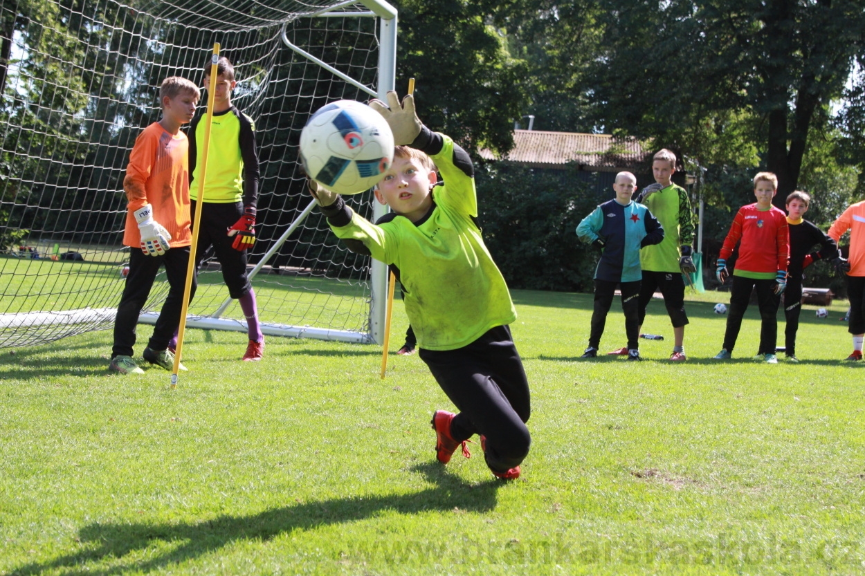 BFŠJCH - Léto 2019 - 9.8.2019