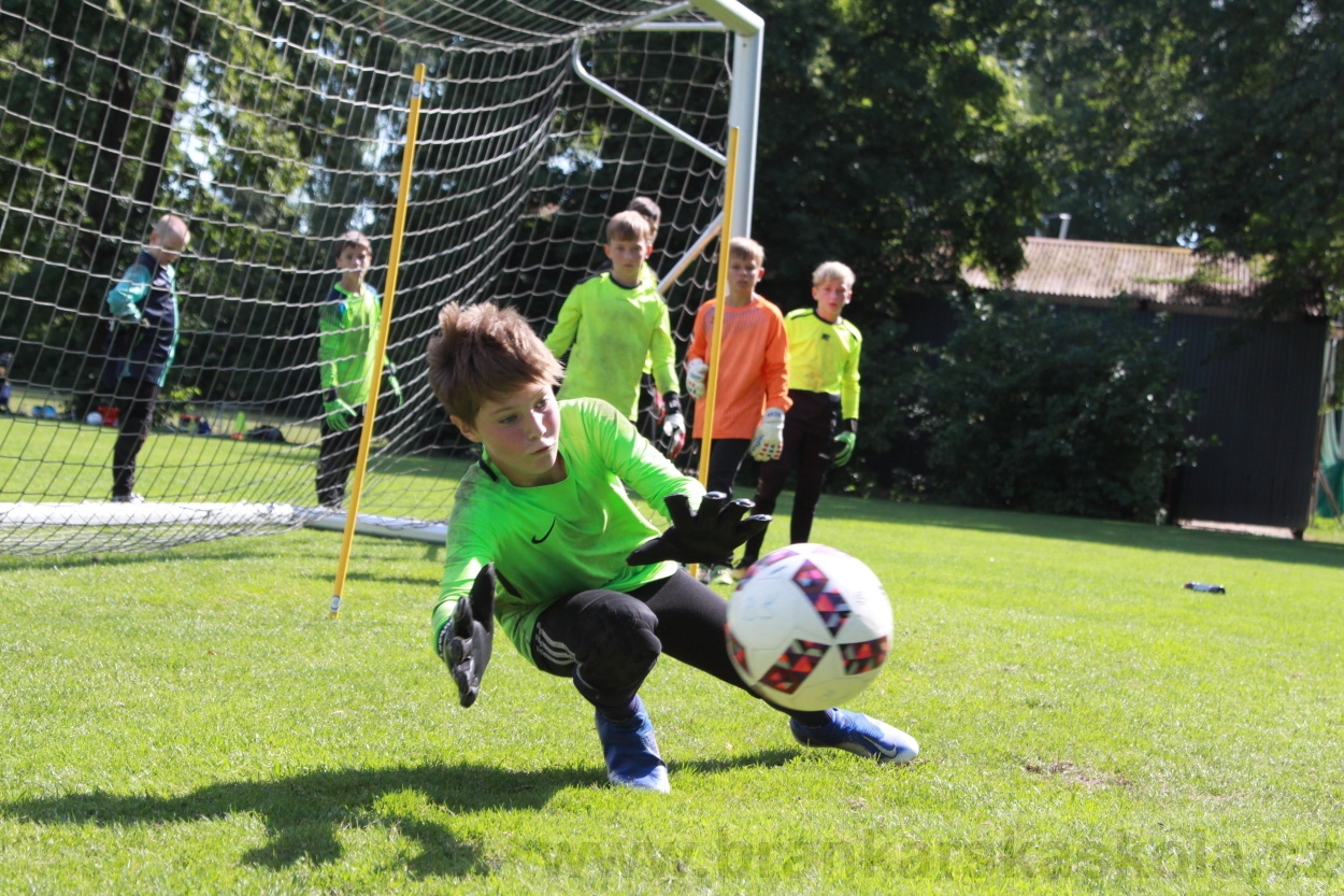 BFŠJCH - Léto 2019 - 9.8.2019