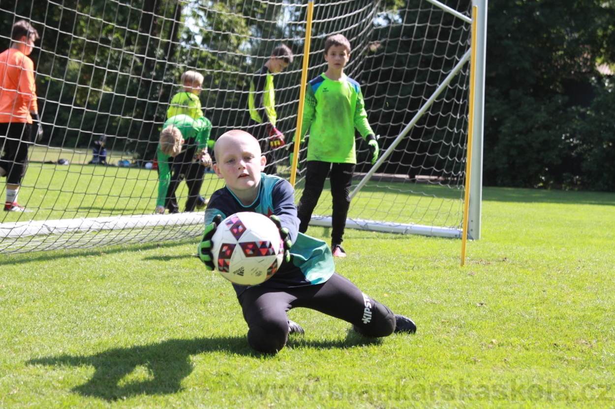 BFŠJCH - Léto 2019 - 9.8.2019