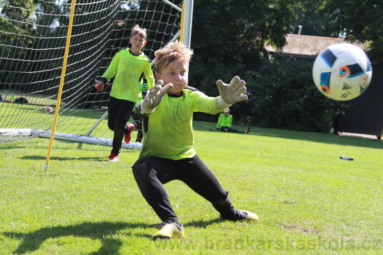 BFŠJCH - Léto 2019 - 9.8.2019