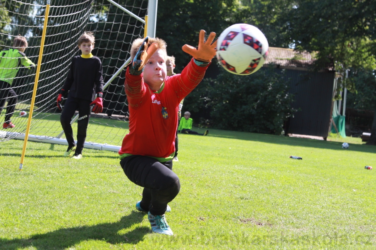BFŠJCH - Léto 2019 - 9.8.2019