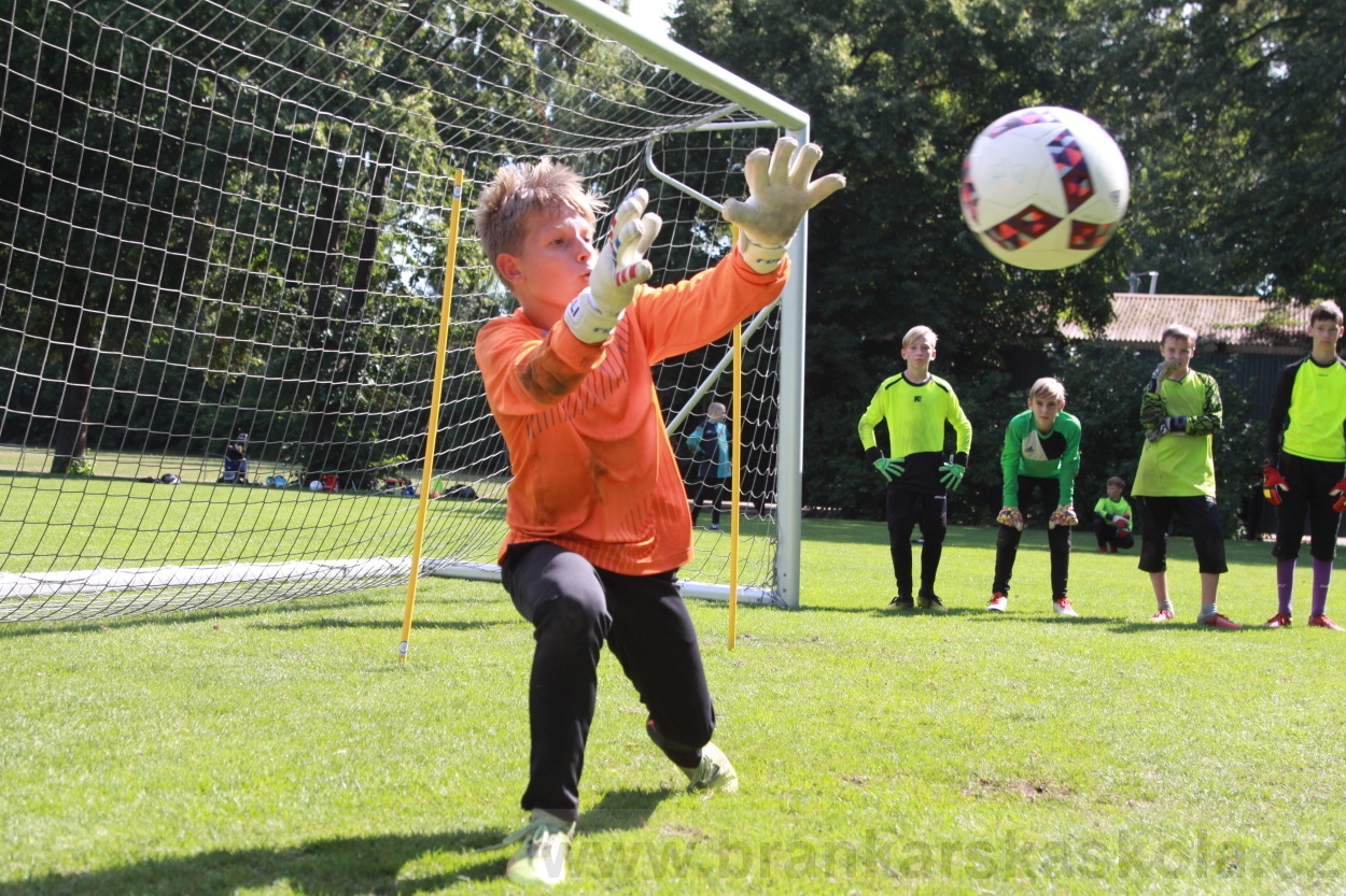 BFŠJCH - Léto 2019 - 9.8.2019