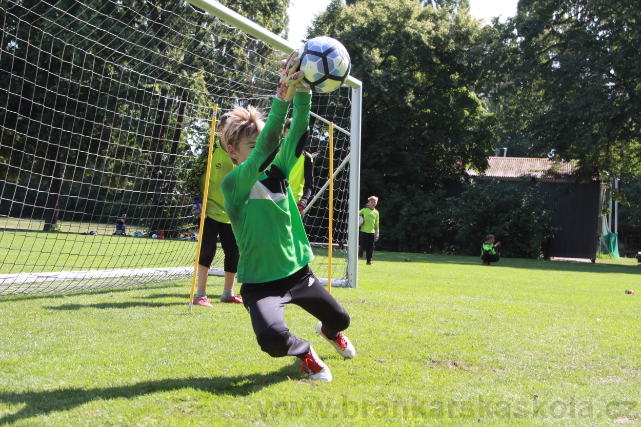 BFŠJCH - Léto 2019 - 9.8.2019