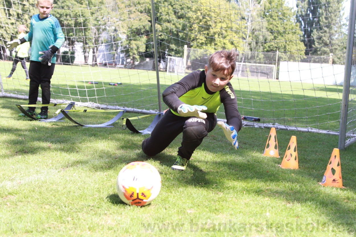 BFŠJCH - Léto 2019 - 9.8.2019