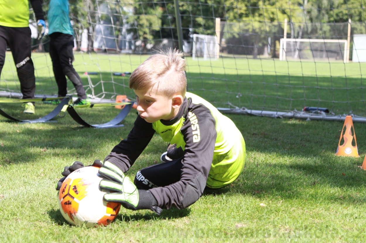 BFŠJCH - Léto 2019 - 9.8.2019