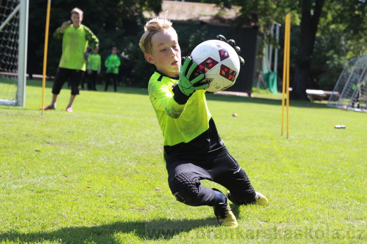 BFŠJCH - Léto 2019 - 9.8.2019