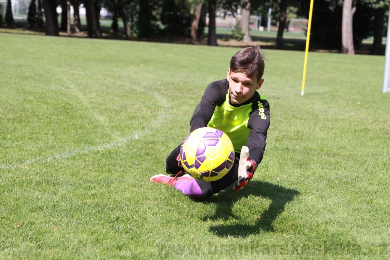 BFŠJCH - Léto 2019 - 9.8.2019