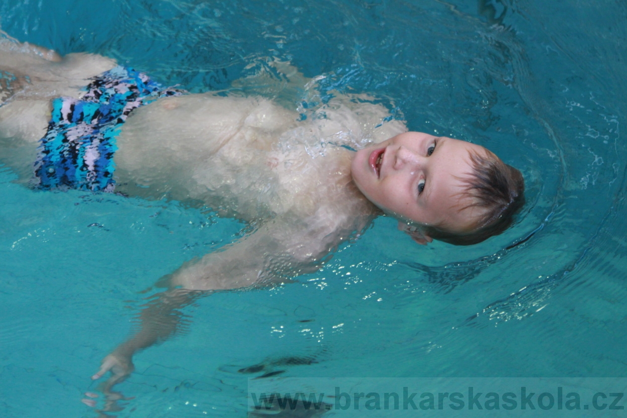 BFŠJCH - Léto 2019 - 9.8.2019