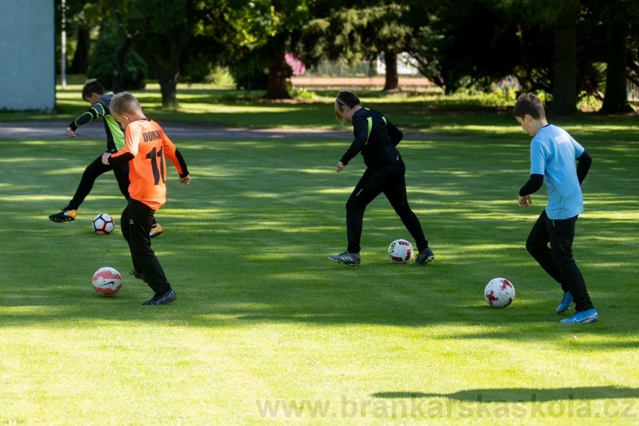 BFŠJCH - Léto 2020 - 1. turnus - Fotky od Pavla