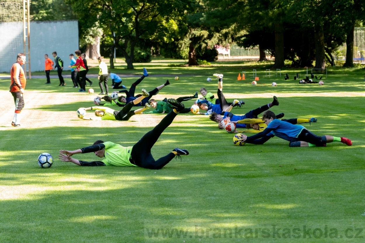 BFŠJCH - Léto 2020 - 1. turnus - Fotky od Pavla