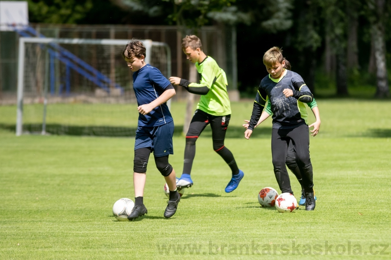 BFŠJCH - Léto 2020 - 1. turnus - Fotky od Pavla