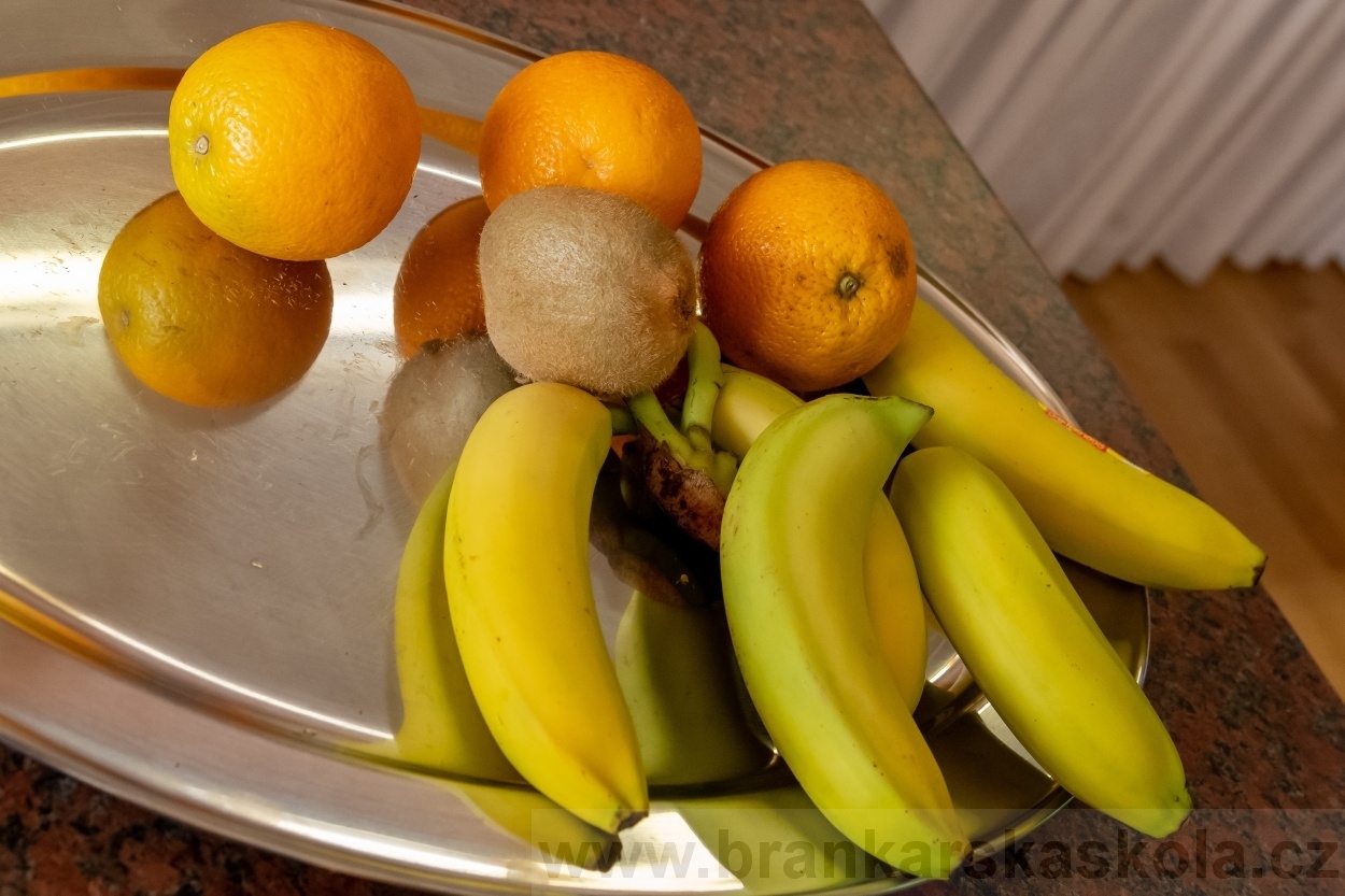 BFŠJCH - Léto 2020 - 1. turnus - Fotky od Pavla