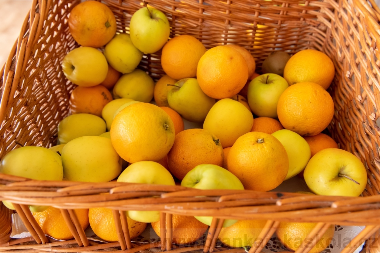 BFŠJCH - Léto 2020 - 1. turnus - Fotky od Pavla