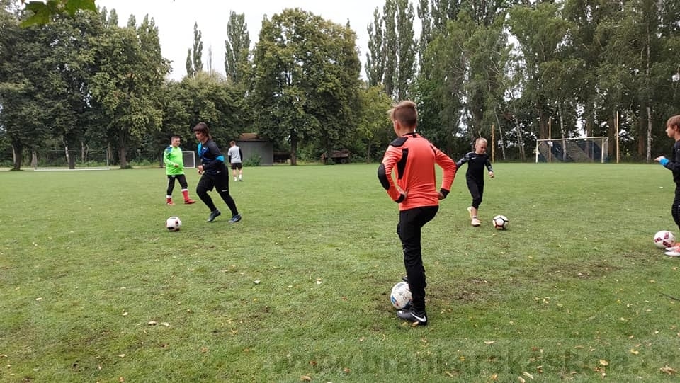 BFŠJCH - Léto 2020 - 2. turnus