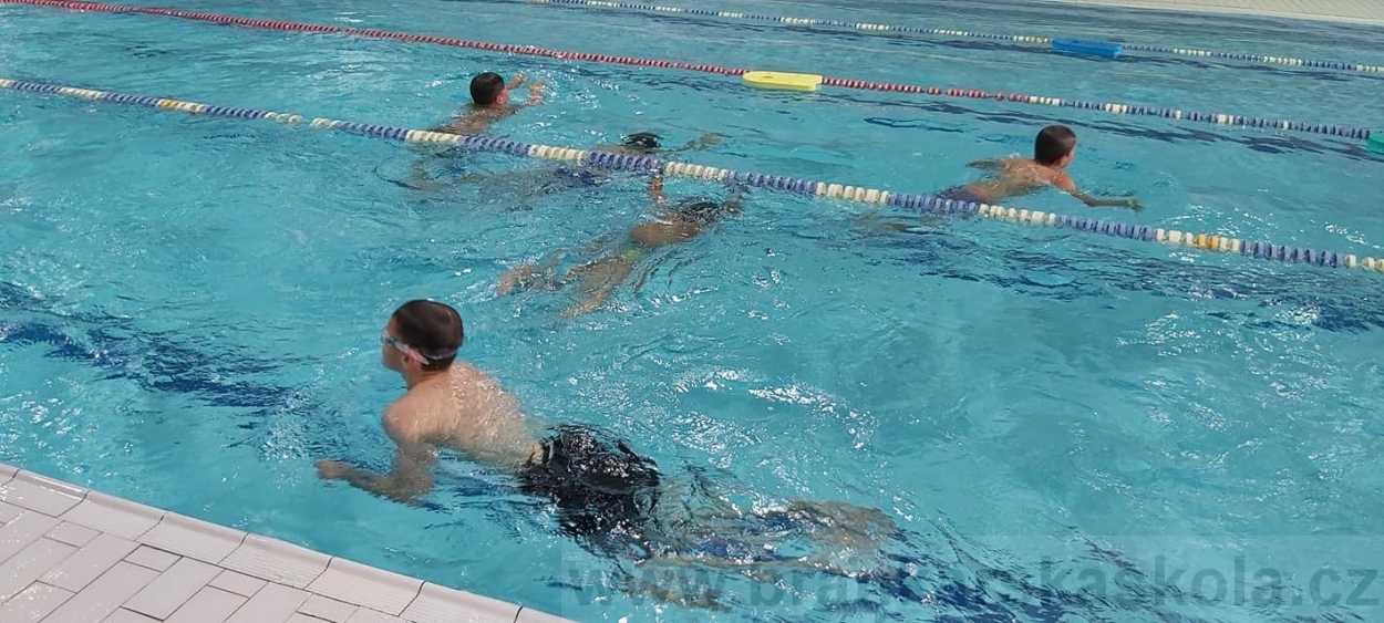 BFŠJCH - Léto 2020 - 2. turnus