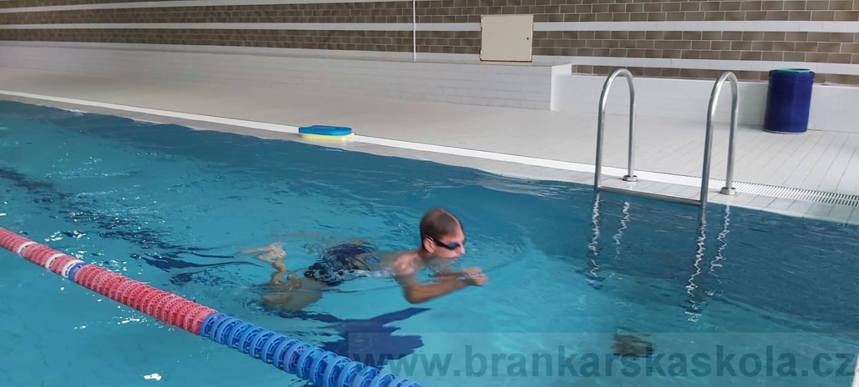 BFŠJCH - Léto 2020 - 2. turnus