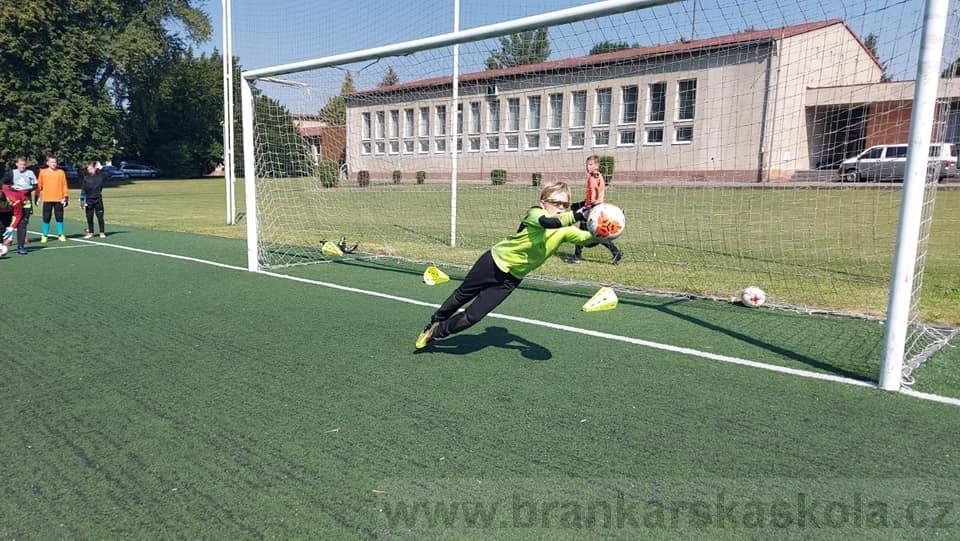 BFŠJCH - Léto 2020 - 2. turnus