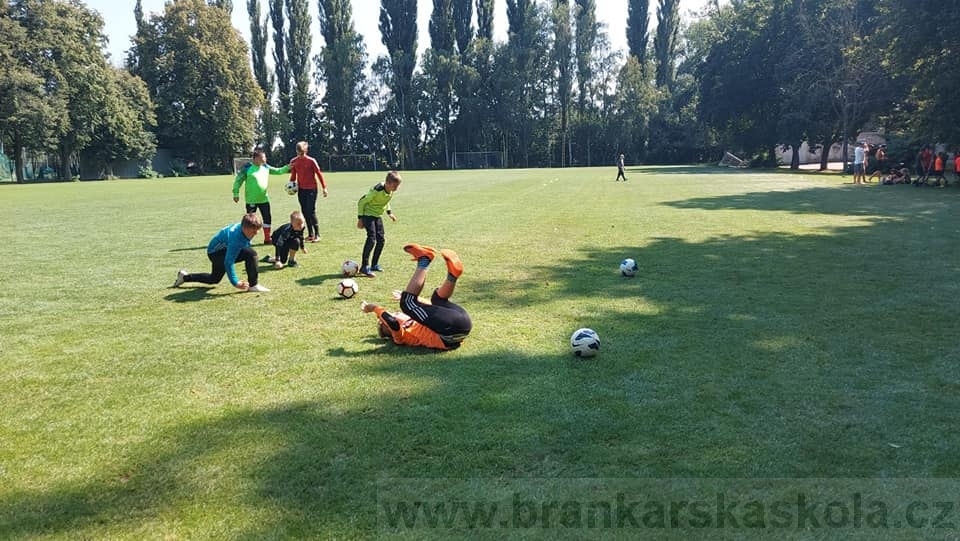 BFŠJCH - Léto 2020 - 2. turnus