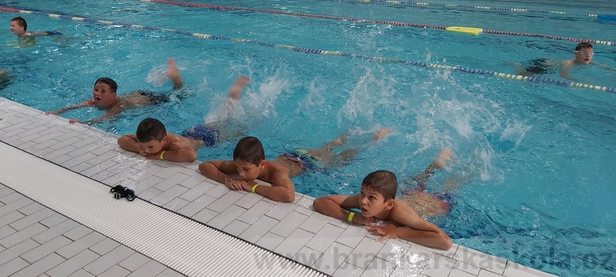 BFŠJCH - Léto 2020 - 2. turnus