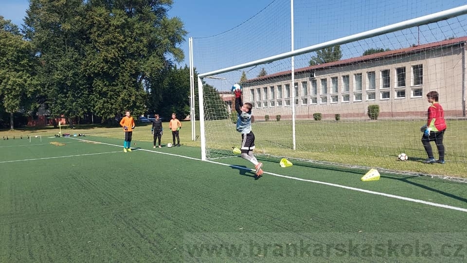 BFŠJCH - Léto 2020 - 2. turnus